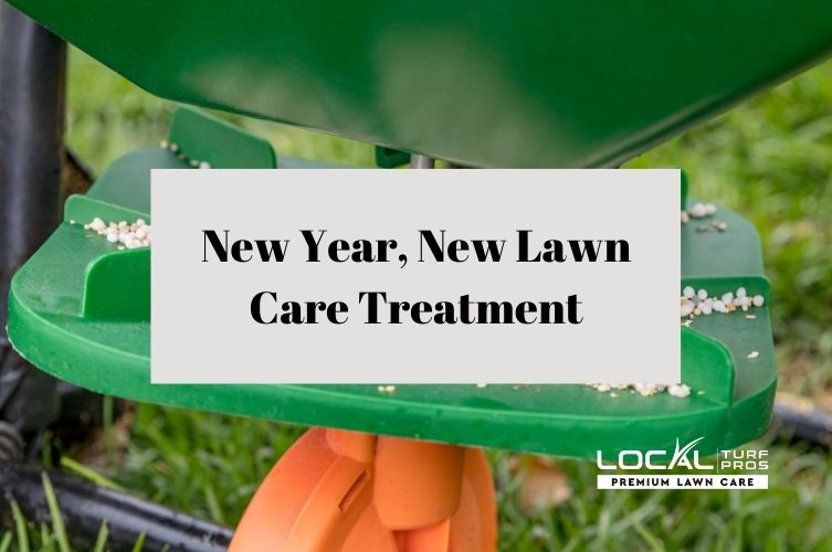New Year, New Lawn Care Treatment