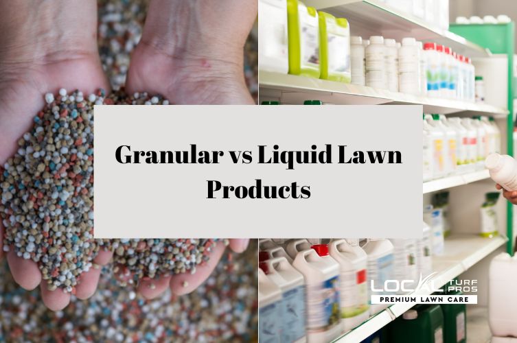 Granular vs Liquid Lawn Products