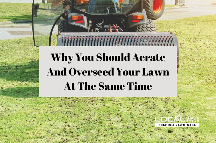 Why You Should Aerate And Overseed Your Lawn At The Same Time