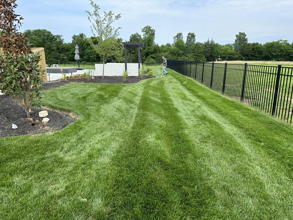 Top Effective Methods for Weed Control in Your Garden or Landscape