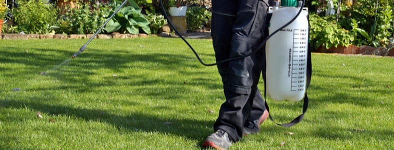 Effective Mosquito Treatment Methods for a Mosquito-Free Yard